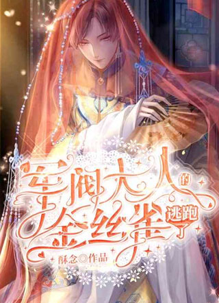 军阀大人的金丝雀逃跑了酥念小说