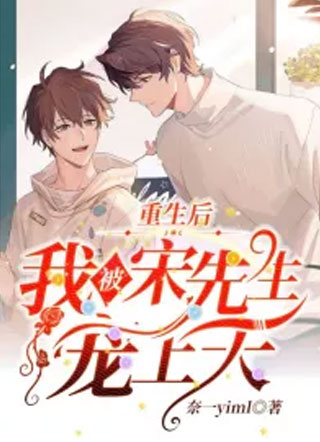重生后我被宋先生宠上天小说