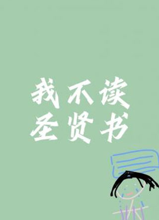 我不读圣贤书小说