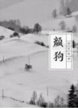 颜狗阿阮有酒小说