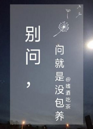 别问，问就是没包养小说