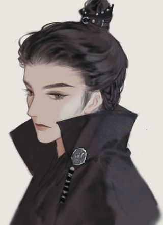 我的忠犬将军小说