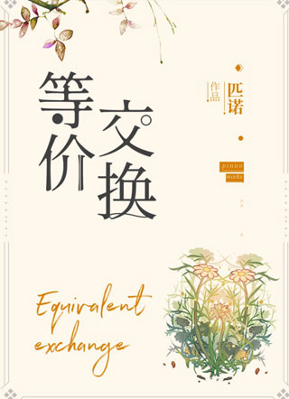 等价交换匹诺小说