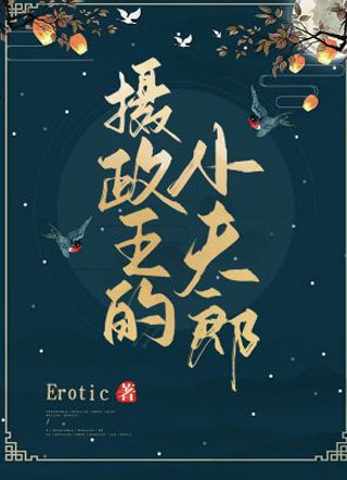 摄政王的小夫郎小说