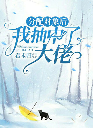 分配对象后，我抽中了大佬小说