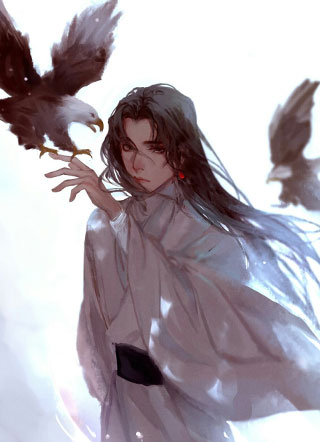 我被皇帝盯上了小说