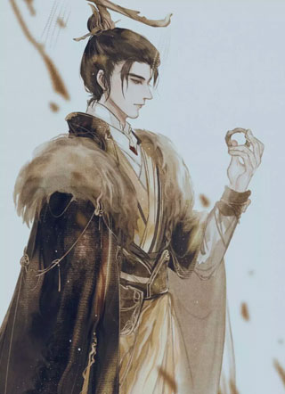 将军的日日夜夜小说