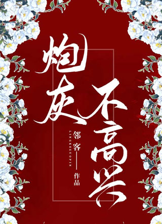 炮灰不高兴小说