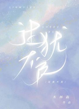 过犹不及木林森小说