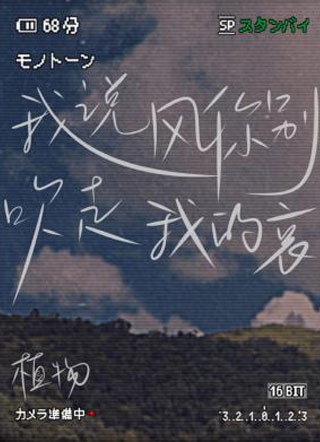 我说风你别吹走我的哀小说