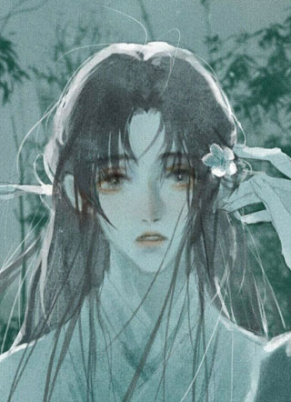 皇帝的枕边人小说