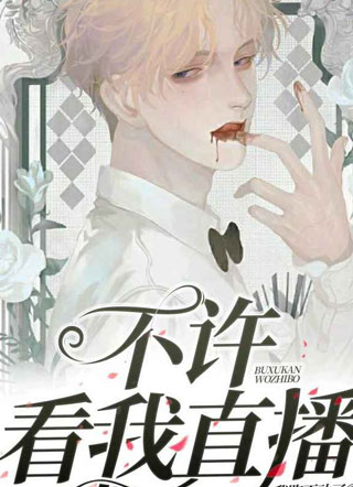 不许看我直播小说