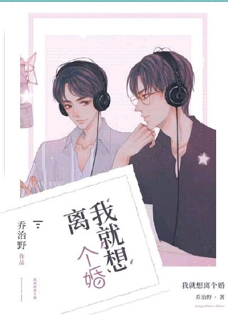 我就想离个婚小说