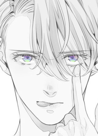 只是挡箭牌小说