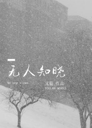 无人知晓又蓝小说