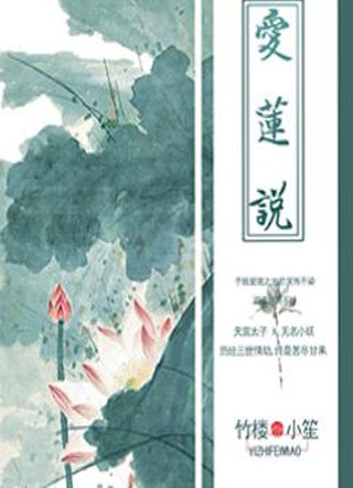 爱莲说小说