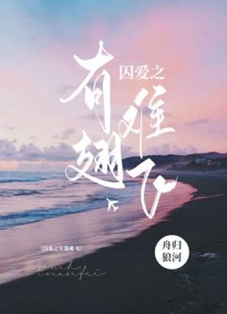 囚爱之有翅难飞小说