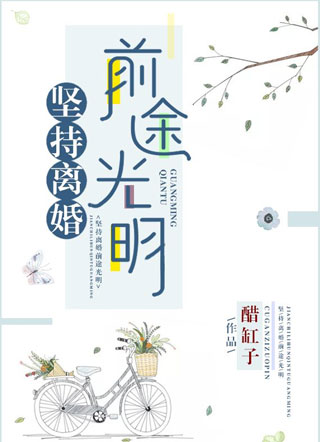 坚持离婚前途光明小说