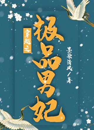 穿越之极品男妃小说