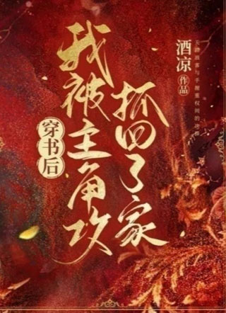 穿书后我被主角攻抓回了家小说
