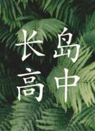 长岛高中宋靖小说