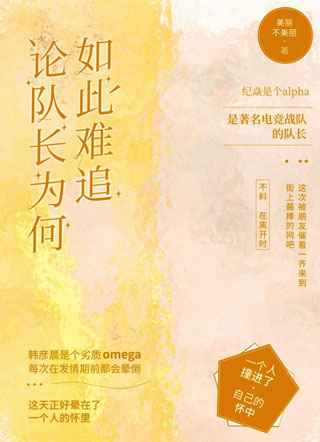 论队长为何如此难追小说