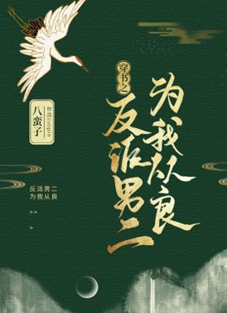 反派男二为我从良小说