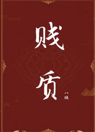 贱质小说