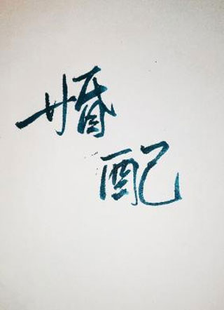 婚配大少爷小说