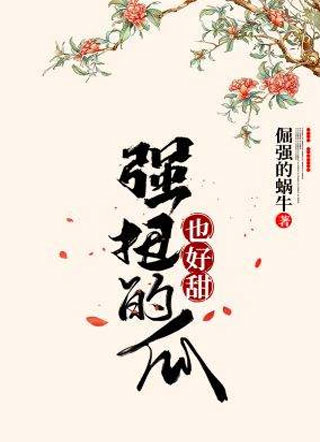 强扭的瓜也好甜小说