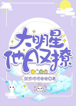 大明星他A又撩小说