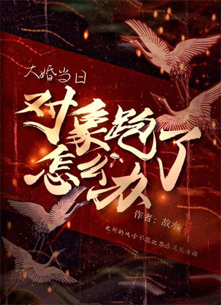 大婚当日对象逃婚了怎么办小说