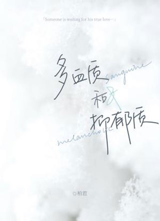 多血质和抑郁质小说