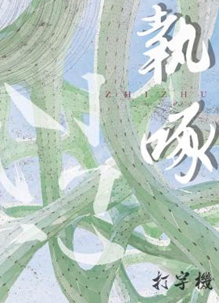 执啄小说