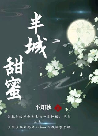 半城甜蜜小说