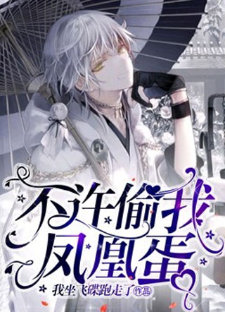 不许偷我凤凰蛋小说