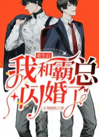 重生后我和霸总闪婚了小说