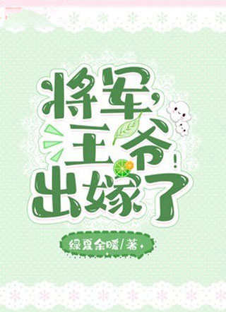 将军王爷出嫁了小说