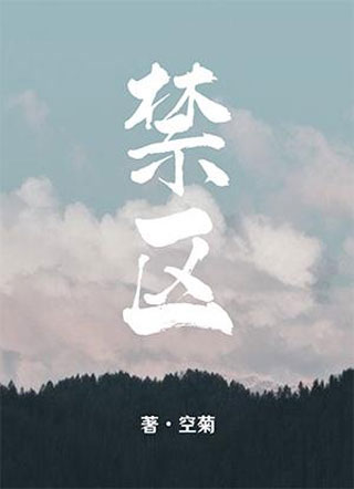 禁区空菊小说