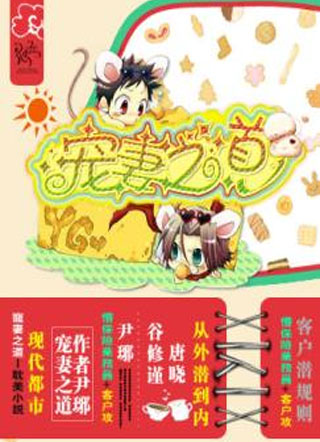宠妻之道小说