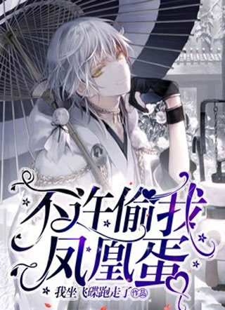 不许偷我凤凰蛋小说