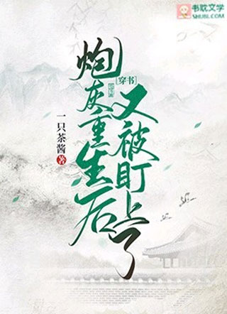穿书炮灰重生后又被盯上了小说