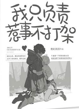 我只负责惹事不打架小说