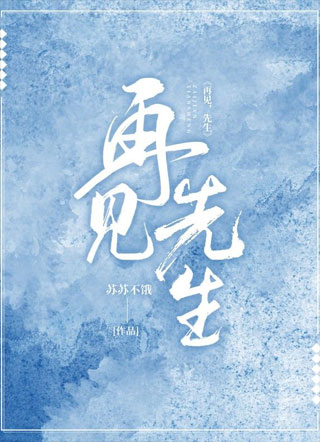 再见，先生小说