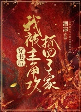 穿书后我被主角攻抓回了家小说