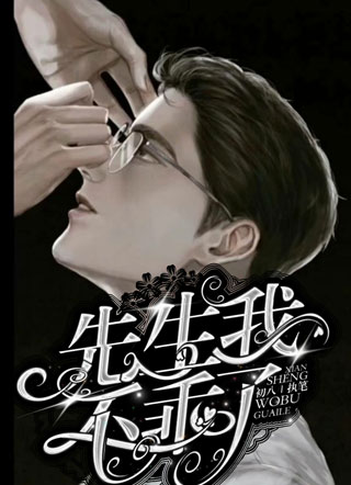 先生我不乖了小说