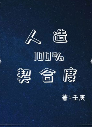 人造百分百契合度彼尔小说