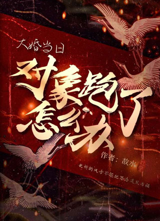 大婚当日对象逃婚了怎么办小说