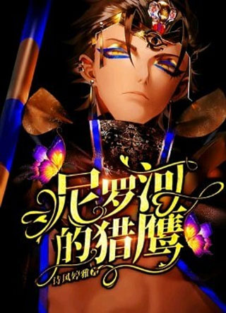 尼罗河的猎鹰小说