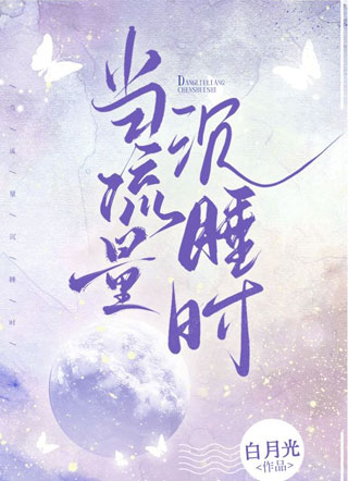 当流量沉睡时小说